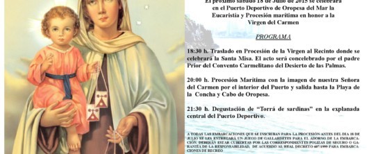 Virgen del Carmen 2015